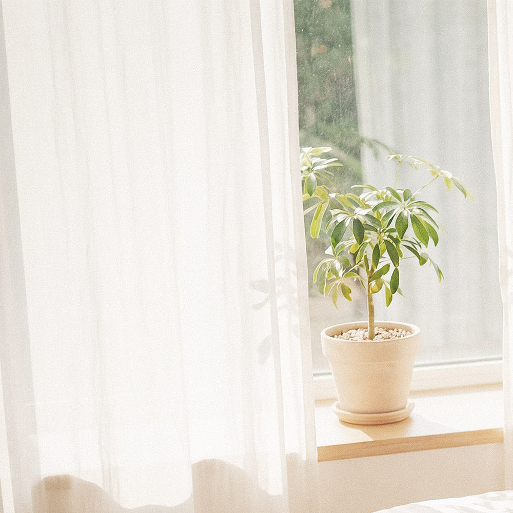 VELORA Linen Curtain
